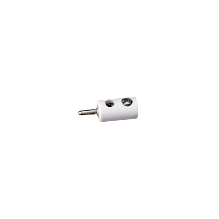 CLAVIJA MACHO BLANCO ANESTE 02