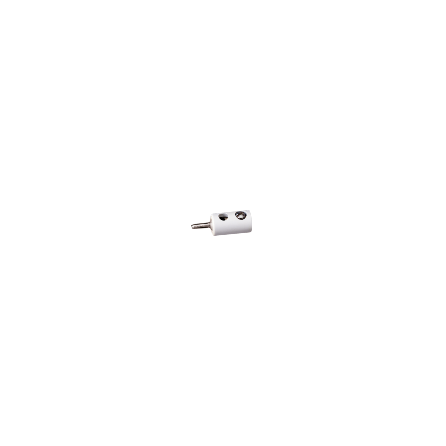 CLAVIJA MACHO BLANCO ANESTE 02