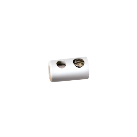 CLAVIJA HEMBRA BLANCO ANESTE 01