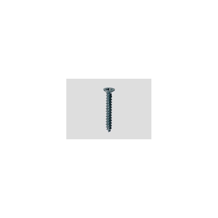 TORNILLOS MARKLIN VIA K 7599 ESCALA H0