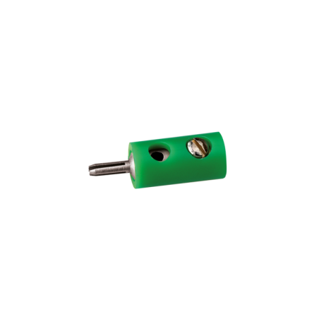 CLAVIJA MACHO VERDE ANESTE 06