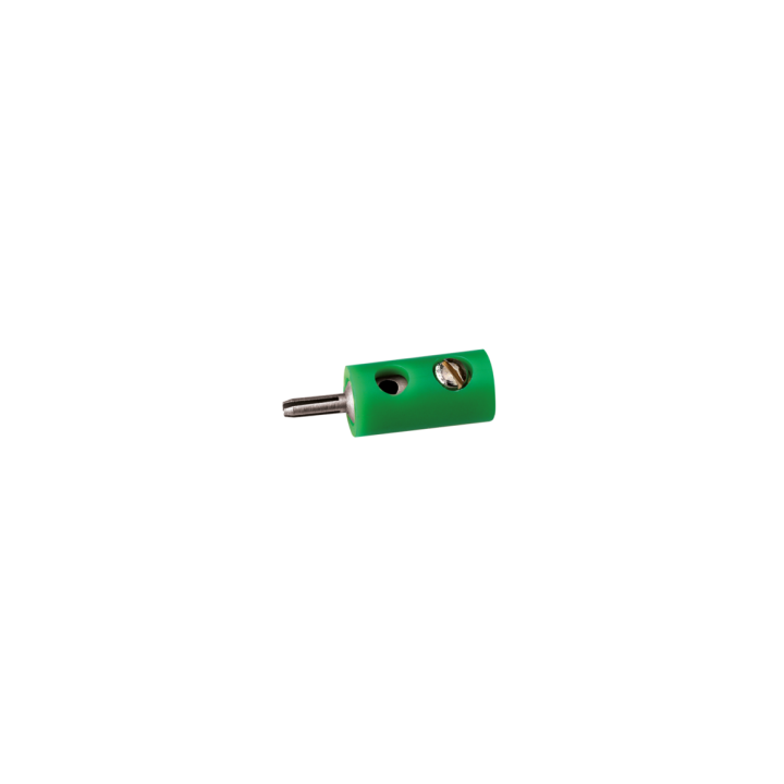 CLAVIJA MACHO VERDE ANESTE 06