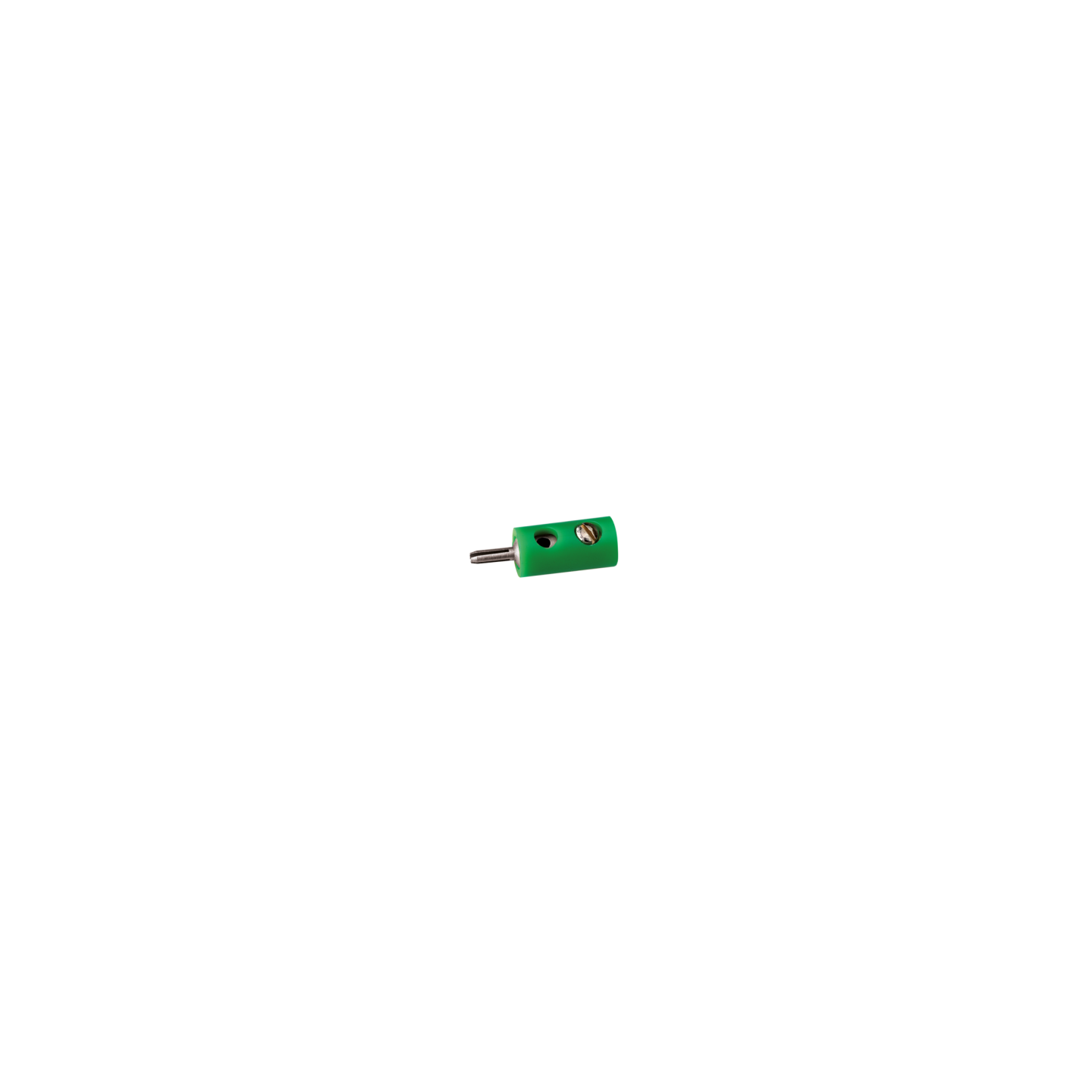 CLAVIJA MACHO VERDE ANESTE 06