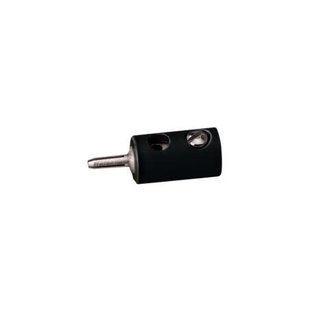 CLAVIJA MACHO NEGRO ANESTE 08