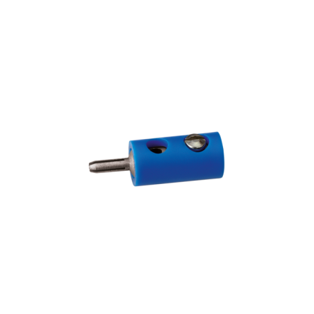 CLAVIJA MACHO AZUL ANESTE 10