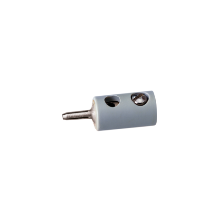 CLAVIJA MACHO GRIS ANESTE 12