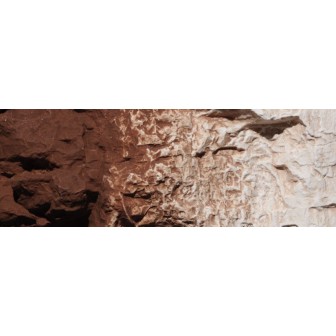PIGMENTO LÍQUIDO SOMBRA TOSTADA BURNT UMBER 118 ML WOODLAND SCENICS C1222