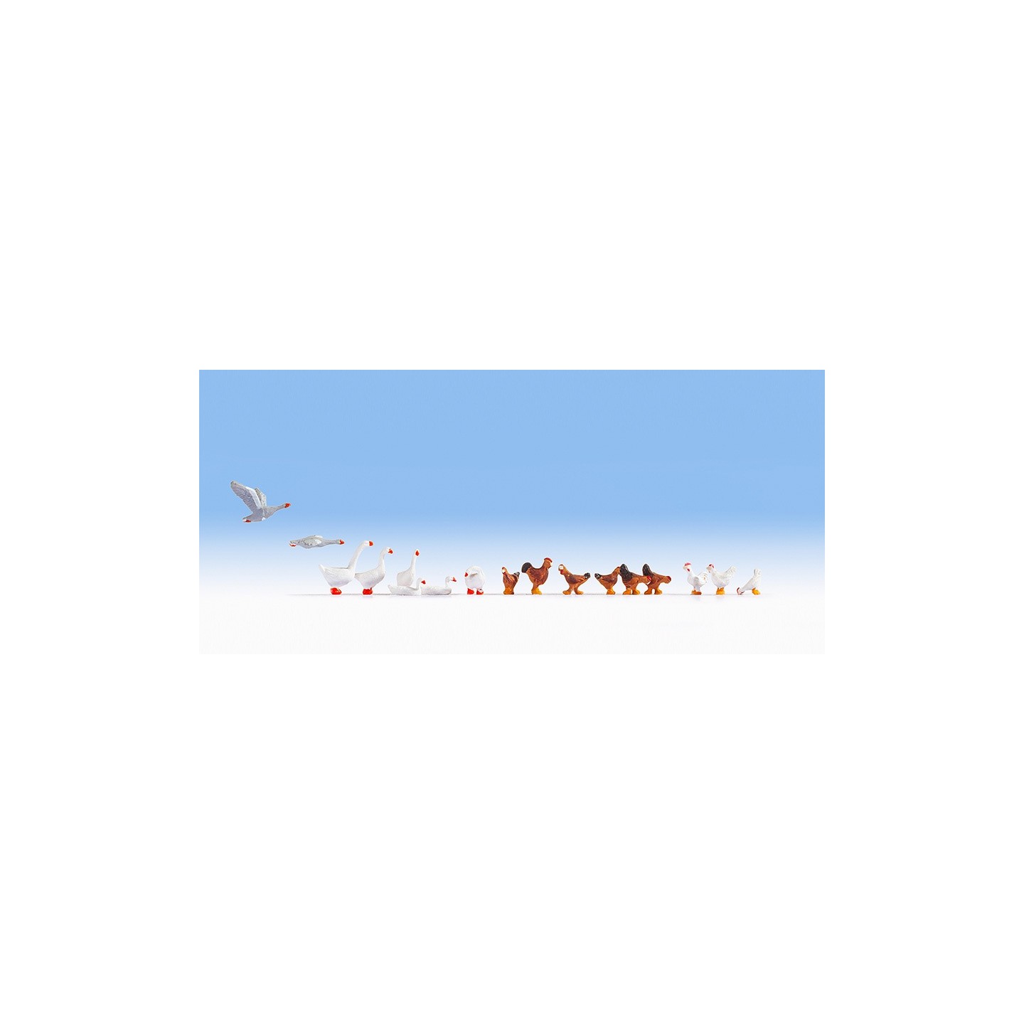 GALLINAS Y OCAS NOCH 15772 ESCALA H0
