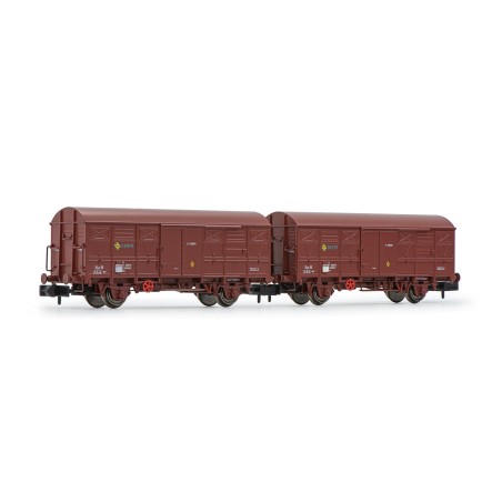 SET 2 VAGONES RENFE CERRADOS ORE ARNOLD HN6523 ESCALA N