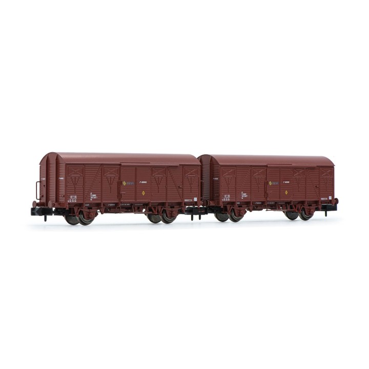 SET 2 VAGONES J2 RENFE ARNOLD HN6520 ESCALA N