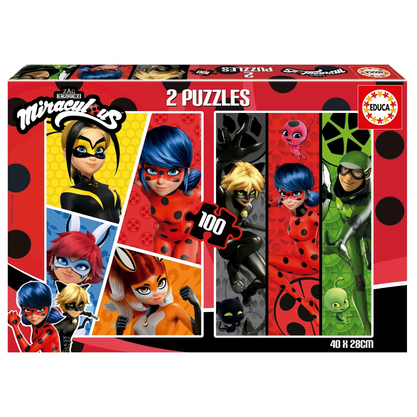PUZZLE LADYBUG 2X100 EDUCA 19969