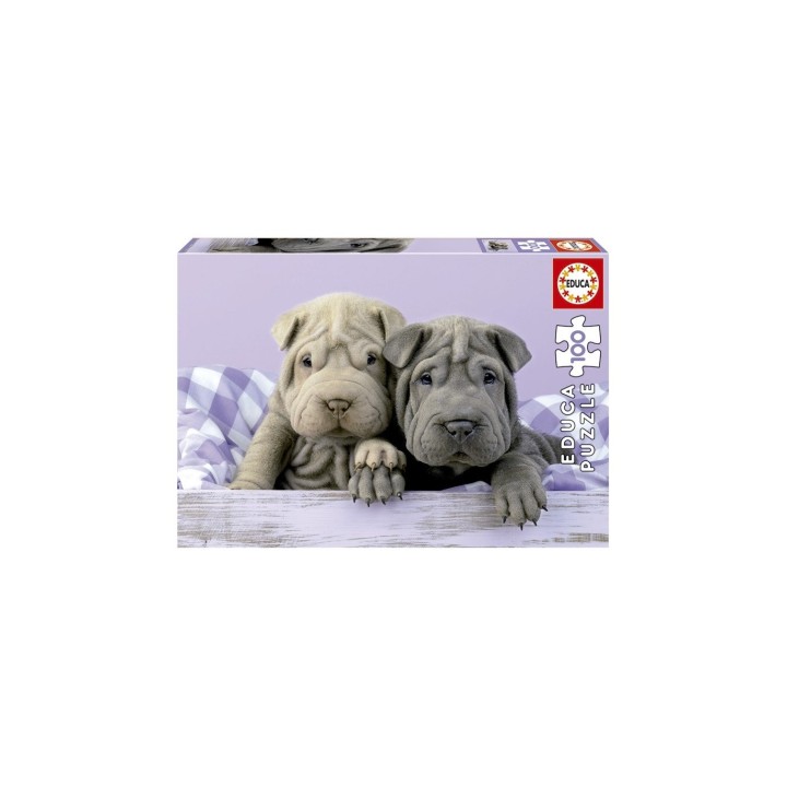 PUZZLE BUENOS DIAS 100 EDUCA 18063