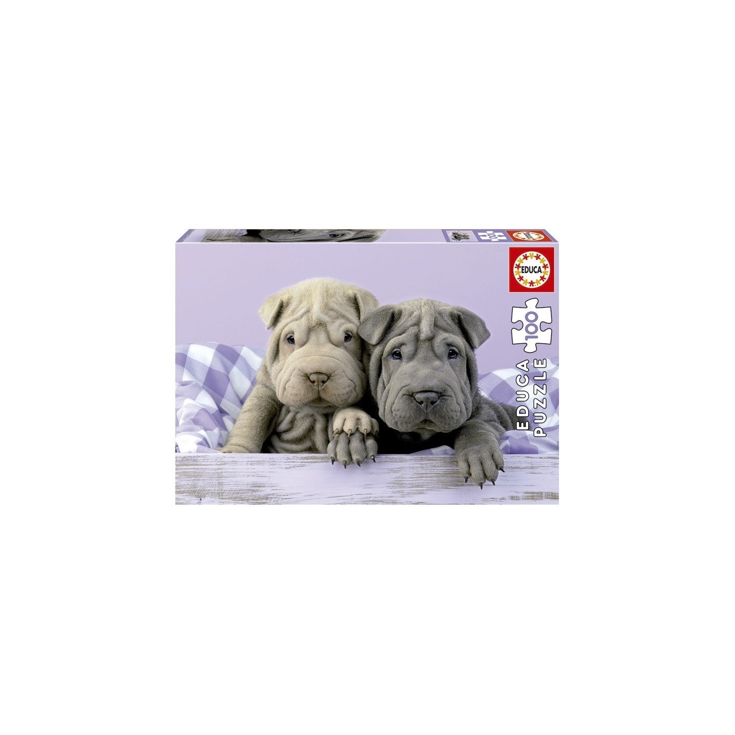PUZZLE BUENOS DIAS 100 EDUCA 18063