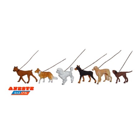 PERROS CON CORREA ANESTE 4029 ESCALA H0
