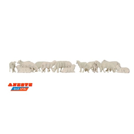 OVEJAS ANESTE 4034 ESCALA  H0