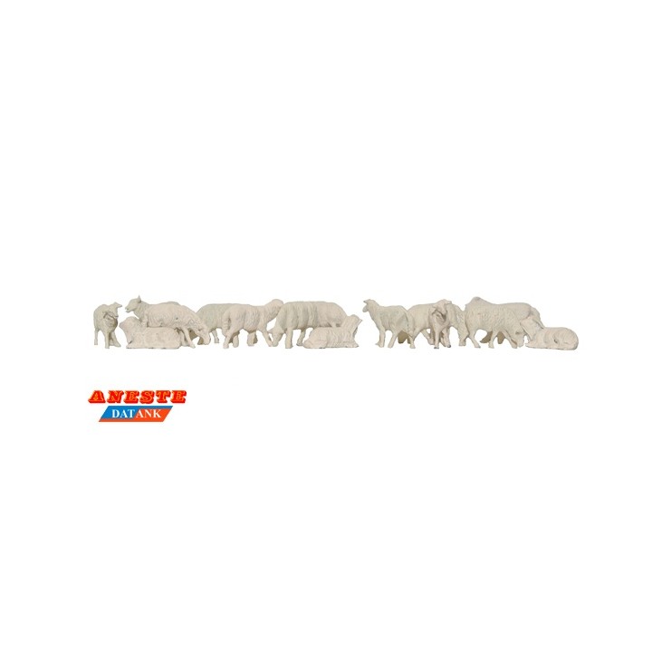OVEJAS ANESTE 4034 ESCALA  H0