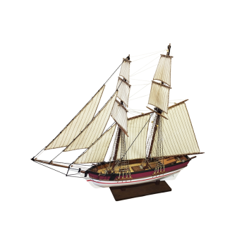 KIT BARCO SERIE ROSE 1/100