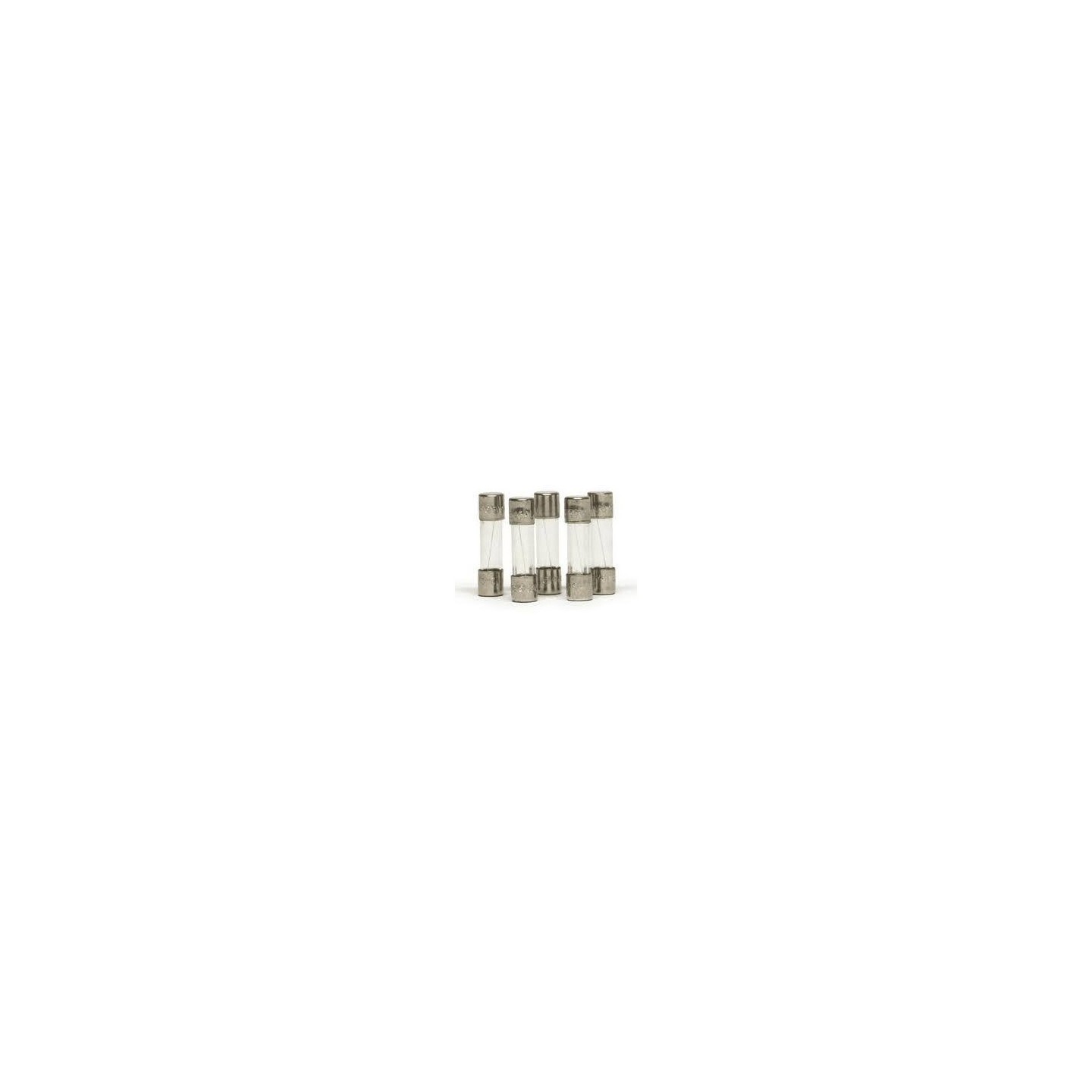FUSIBLE 3.15A PARA MANDO SCP1 SLOT.IT SCP04c