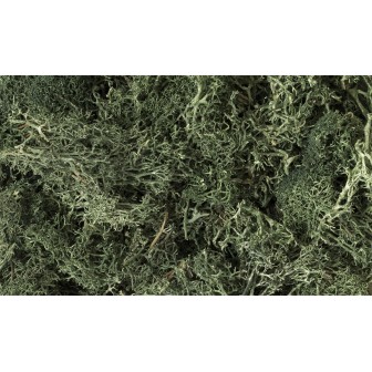 MUSGO VERDE OSCURO WOODLAND SCEENICS L164