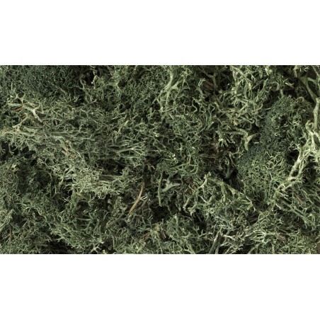 MUSGO VERDE OSCURO WOODLAND SCEENICS L164