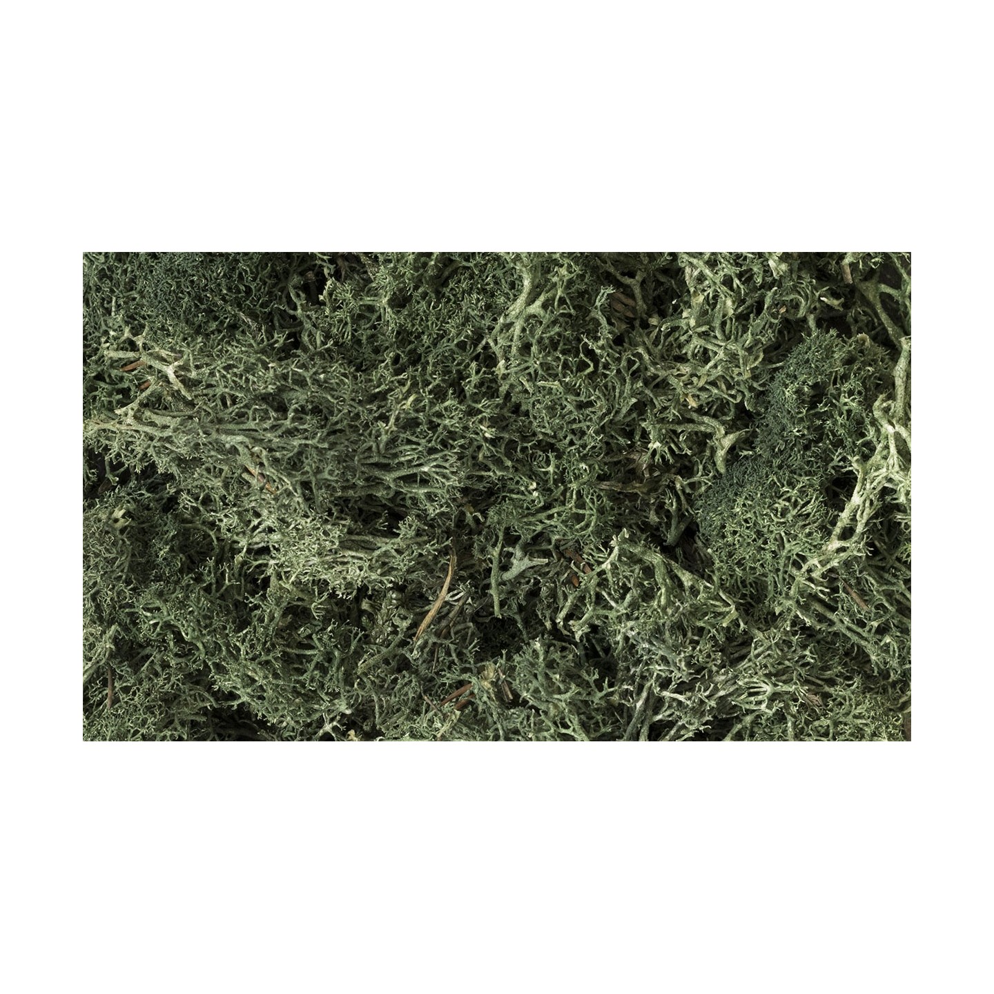 MUSGO VERDE OSCURO WOODLAND SCEENICS L164