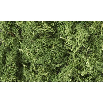 MUSGO VERDE MEDIO WOODLAND SCEENICS L163