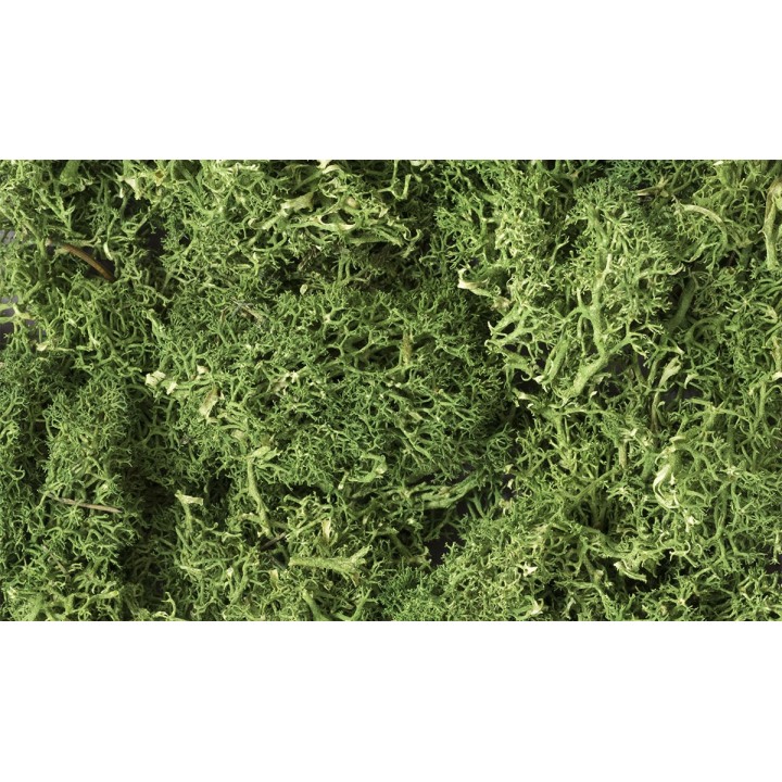 MUSGO VERDE MEDIO WOODLAND SCEENICS L163