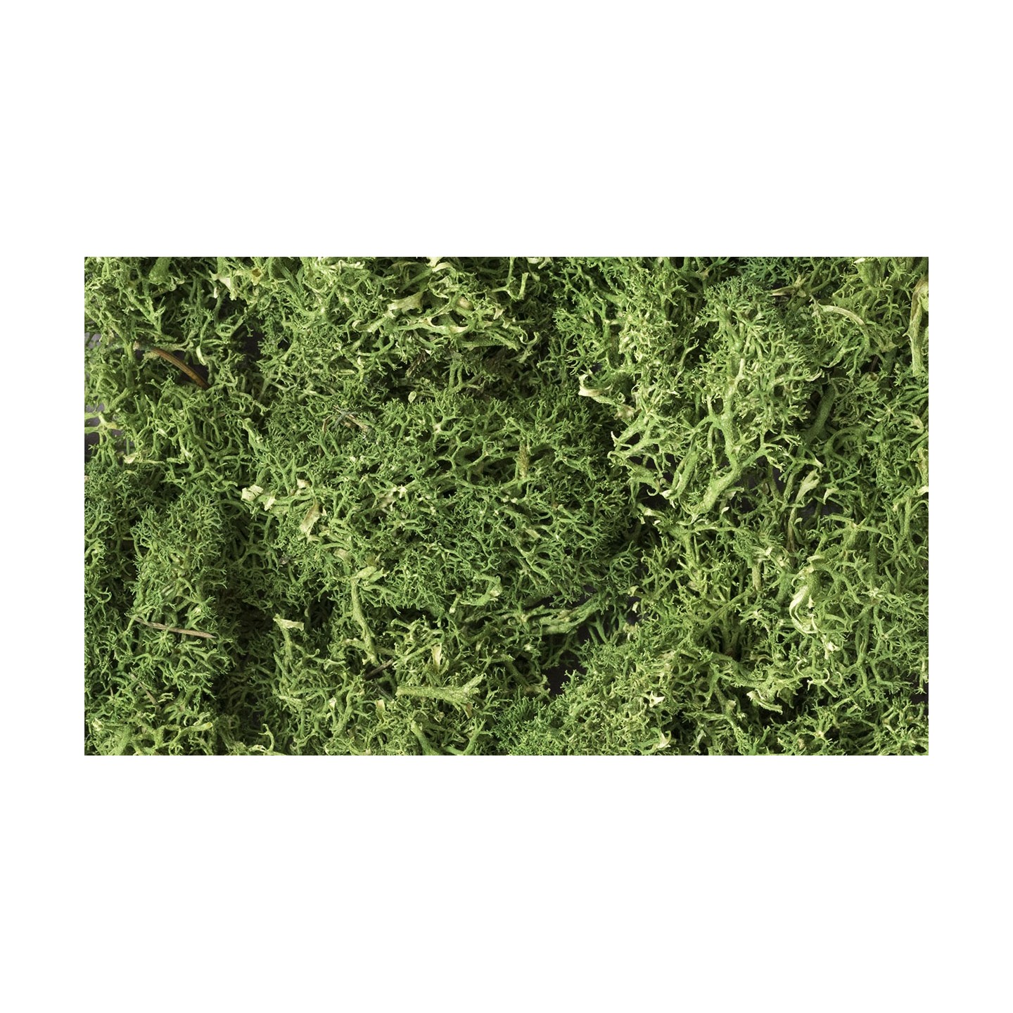 MUSGO VERDE MEDIO WOODLAND SCEENICS L163