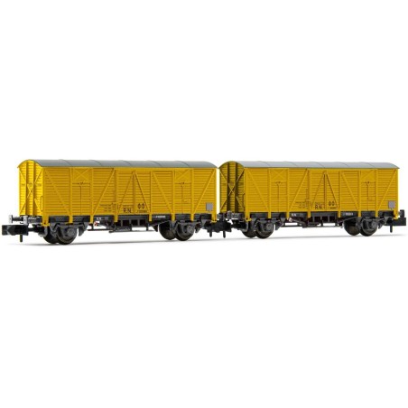 SET 2 VAGONES RENFE CERRADOS ARNOLD HN6554 ESCALA N