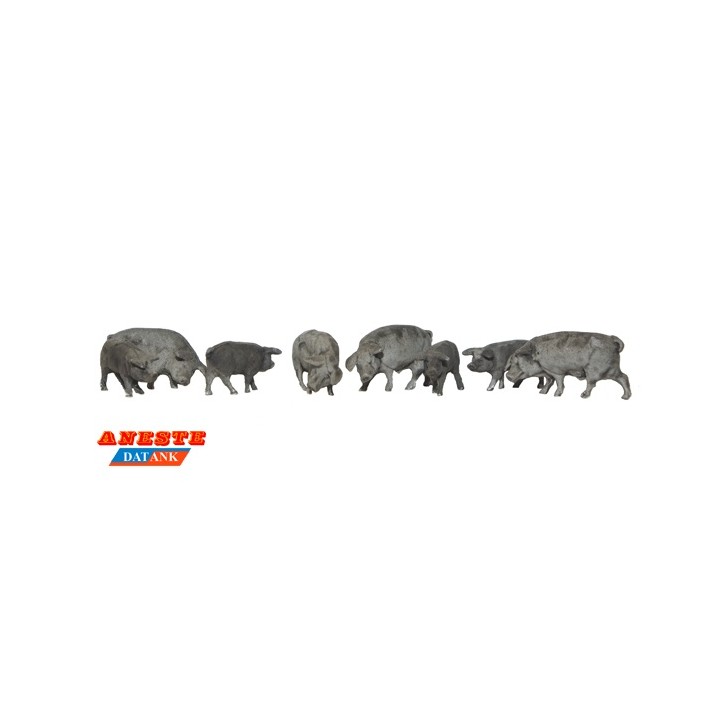 CERDOS IBERICOS ANESTE 4038 ESCALA H0