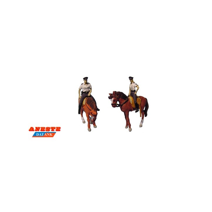 POLICIA NACIONAL A CABALLO ANESTE 4222 ESCALA HO