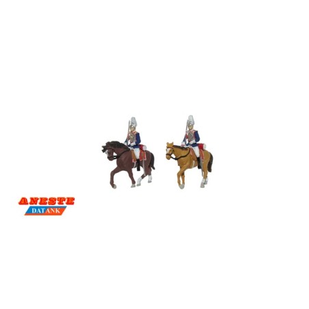 CORACERO REAL ANESTE 4433 ESCALA H0