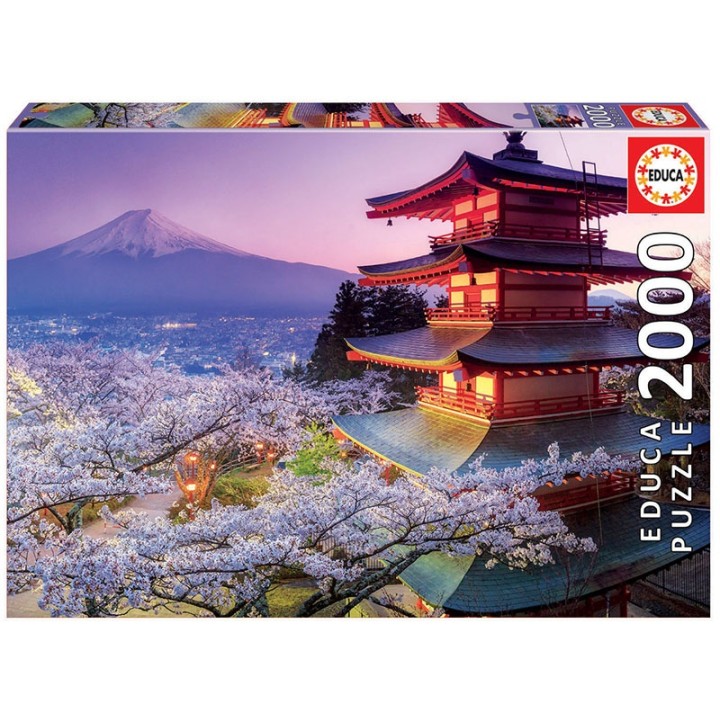 MONTE FUJI, JAPÓN 2000 EDUCA 16775
