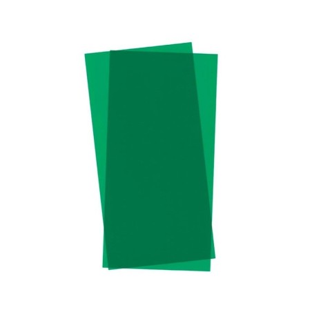 HOJAS DE COLOR VERDE TRANSPARENTE 15X30X0,25cm 2uds EVERGREEN 9903