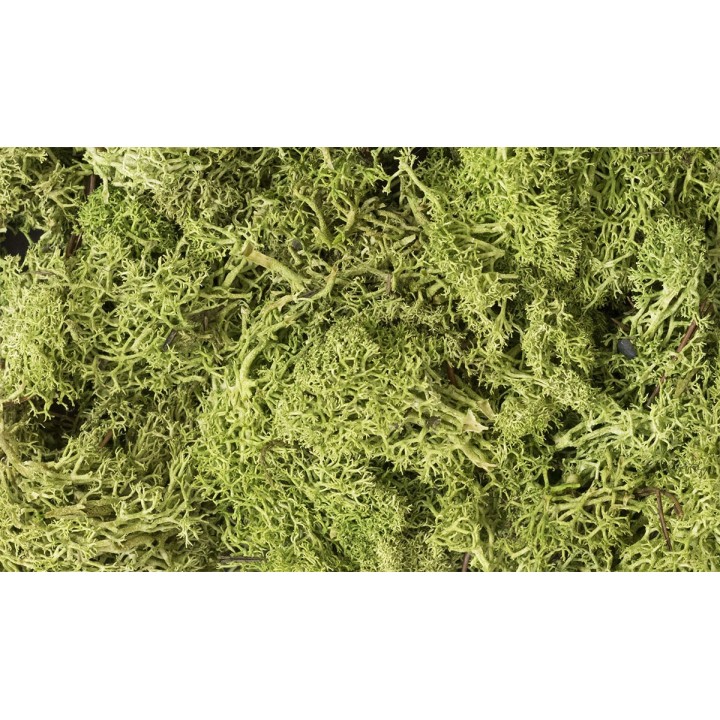MUSGO VERDE CLARO WOODLAND SCEENICS L162