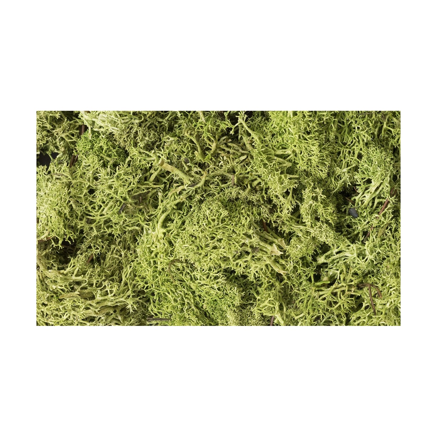 MUSGO VERDE CLARO WOODLAND SCEENICS L162