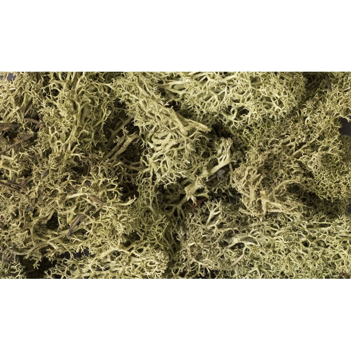 MUSGO VERDE PRIMAVERA WOODLAND SCEENICS L161