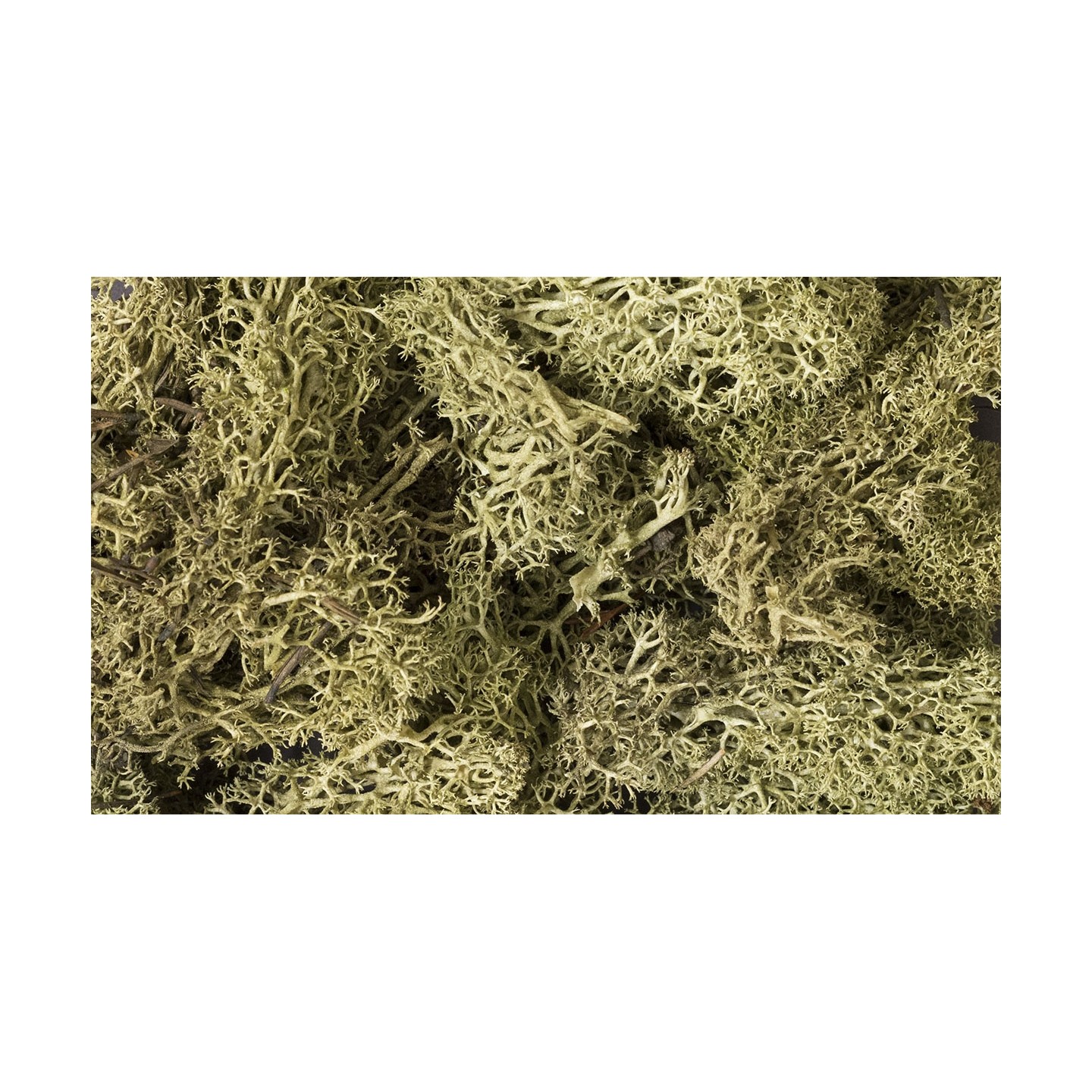 MUSGO VERDE PRIMAVERA WOODLAND SCEENICS L161
