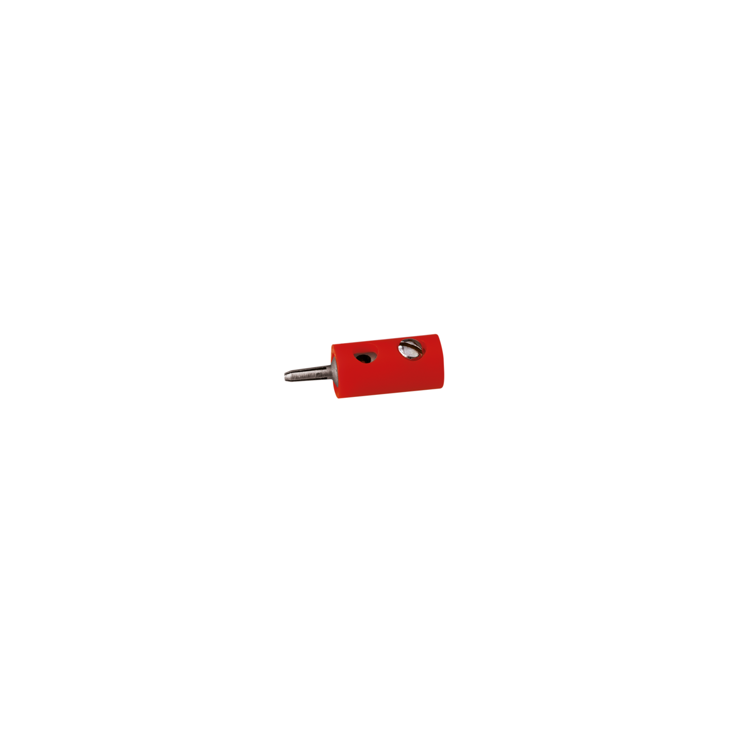 CLAVIJA MACHO ROJO ANESTE 14