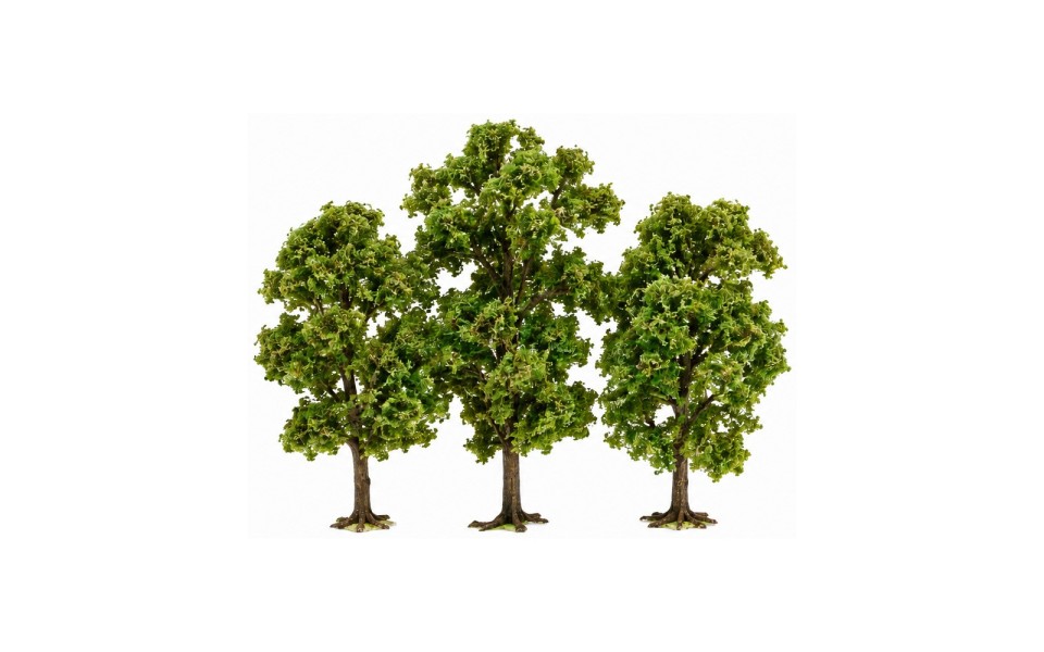 ÁRBOLES